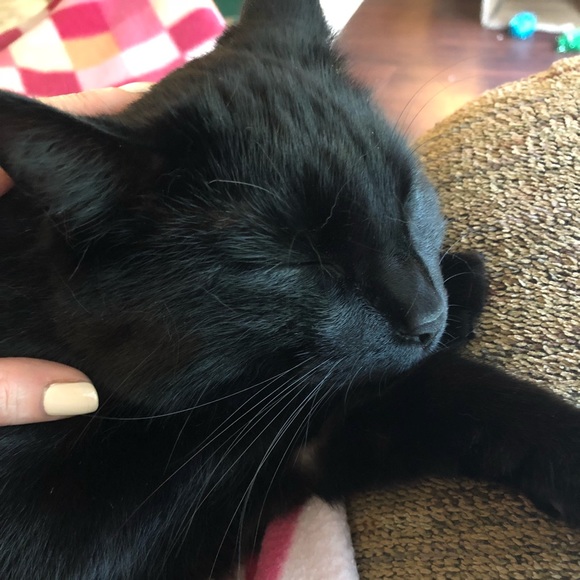 Meet your Posher, Traci - Picture 1 of 1